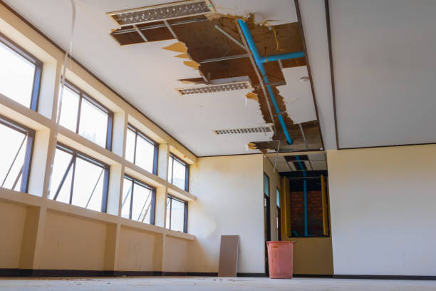 Best 24/7 water damage repair  in Utica, MI