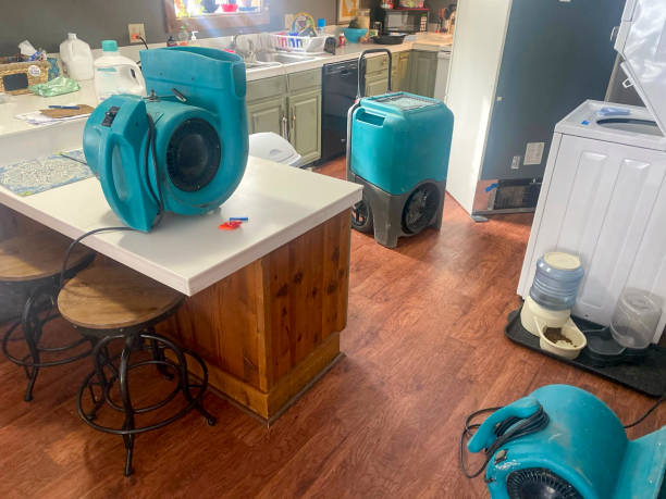 Best Local water damage restoration  in Utica, MI