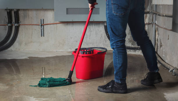 Best Flood damage cleanup  in Utica, MI