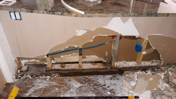 Best Flooded house restoration  in Utica, MI