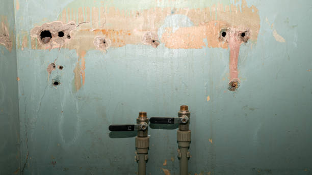 Best Water damage contractors near me  in Utica, MI