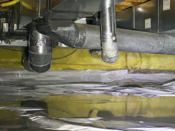 Best Water damage mitigation services  in Utica, MI