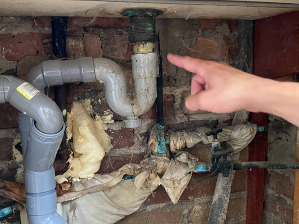 Best Water damage cleanup near me  in Utica, MI