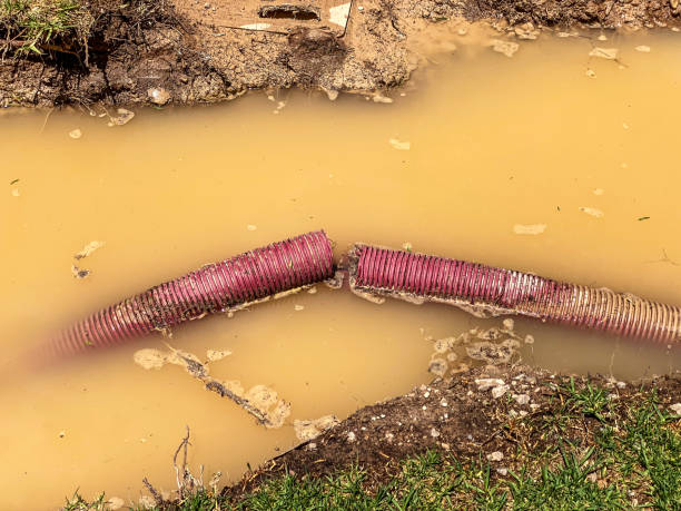 Best 24/7 water damage repair  in Utica, MI