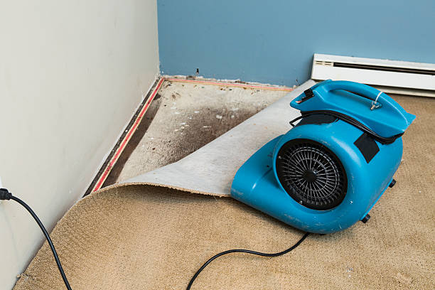 Best Fire Damage Restoration  in Utica, MI